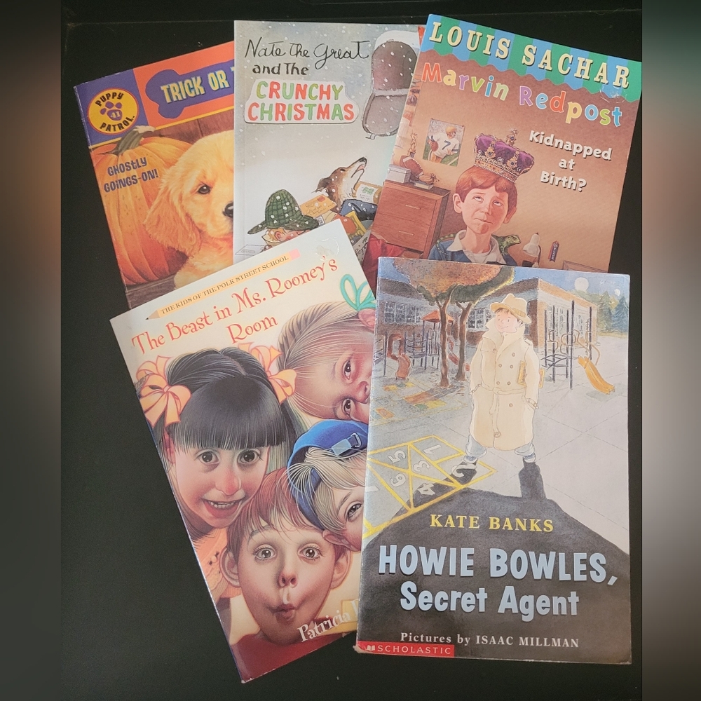 Children's Chapter Book Collection